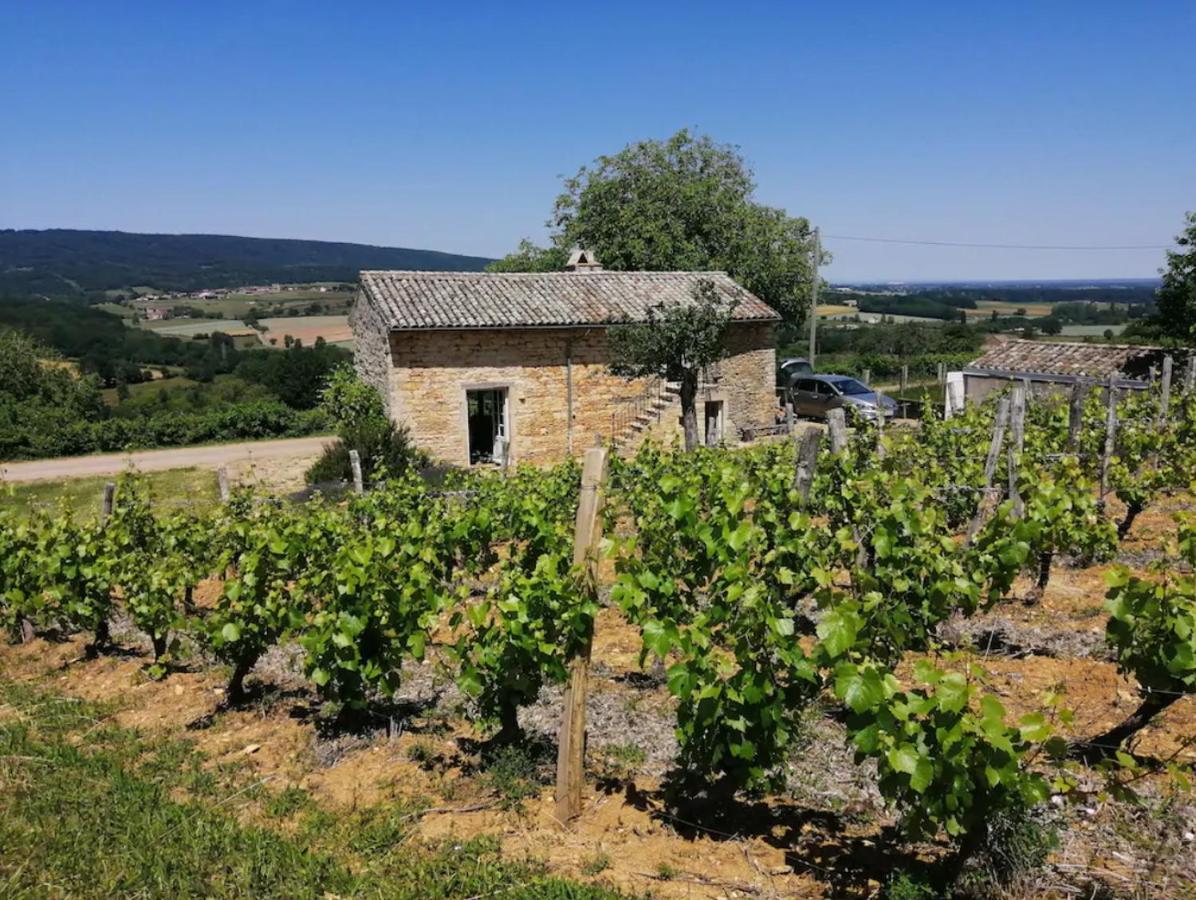 Une Maison De Campagne En Bourgogne Du Sud Tournus Kültér fotó